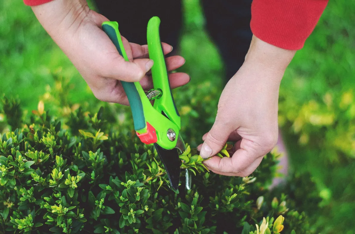 The Suffolk Home Maintenance Checklist: 12 Jobs to Do Every Spring